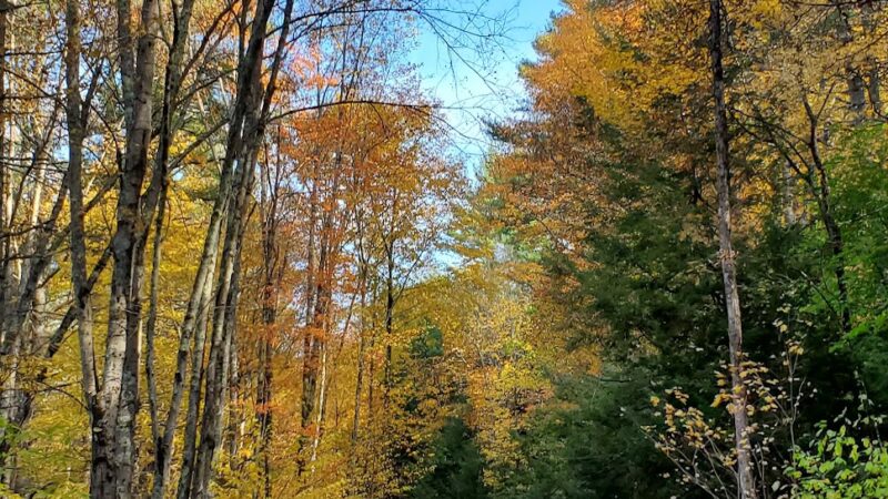Mass Central Rail Trail - Barre, MA