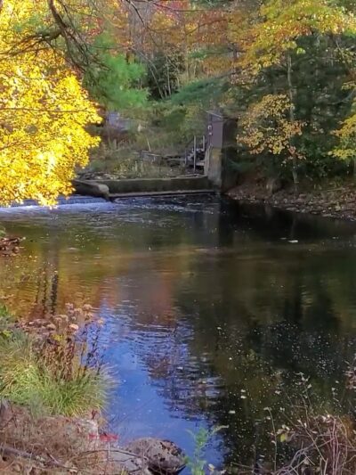 Mass Central Rail Trail - Barre, MA