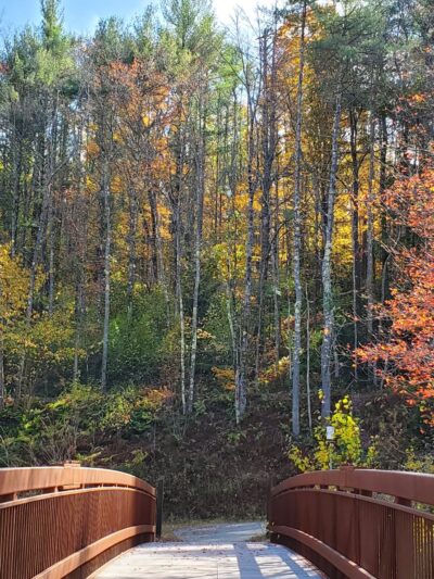 Mass Central Rail Trail - Barre, MA