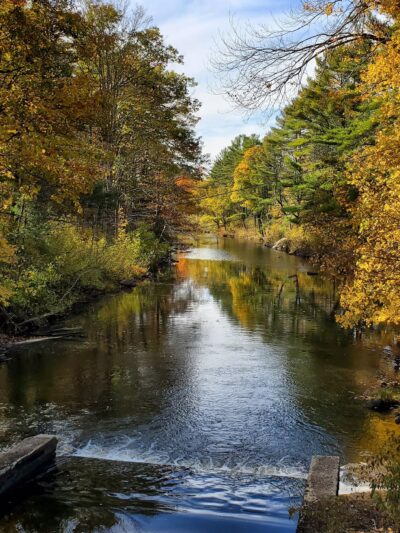 Mass Central Rail Trail - Barre, MA