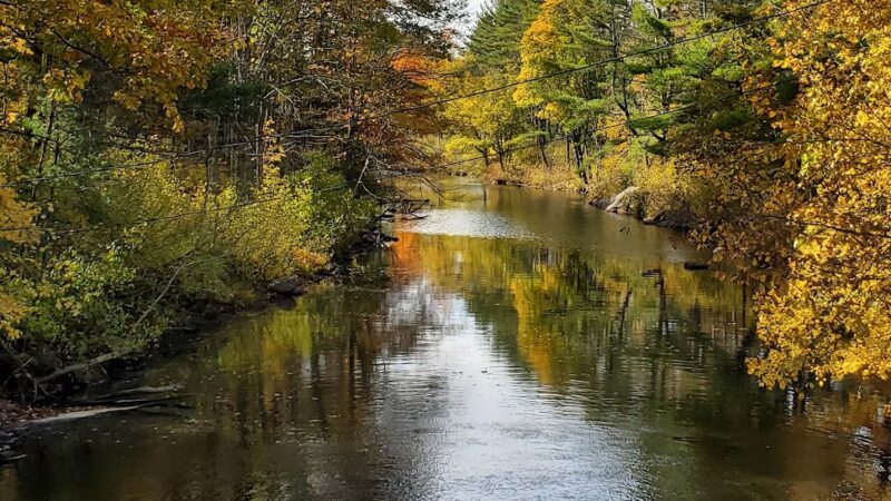 Mass Central Rail Trail - Barre, MA