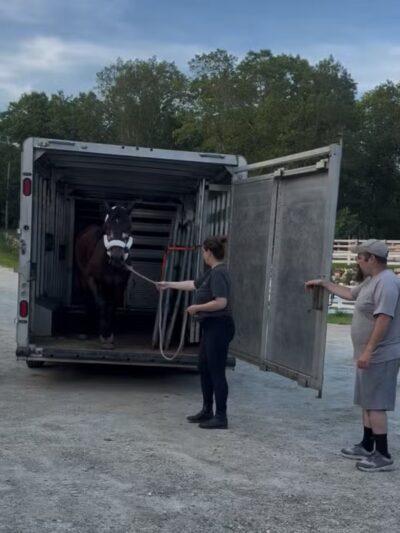 Moonlight Run Farm, LLC - Barre, MA