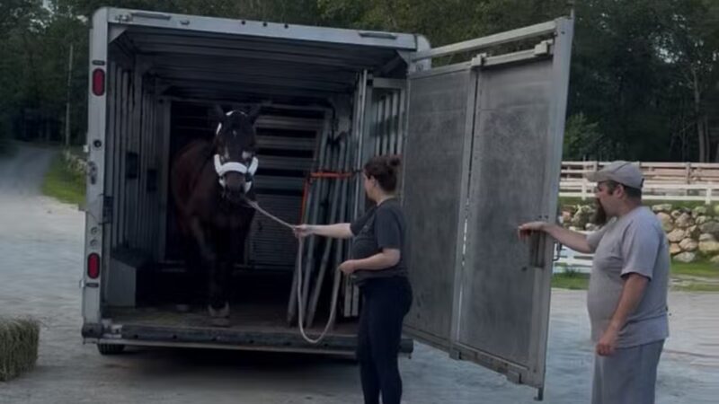 Moonlight Run Farm, LLC - Barre, MA