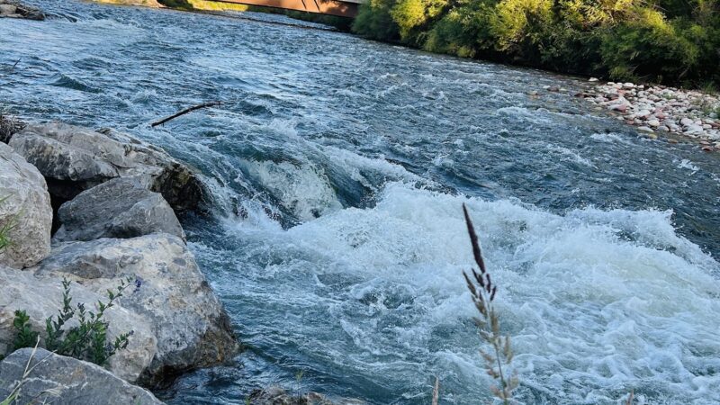 Basalt River Park - Basalt, CO