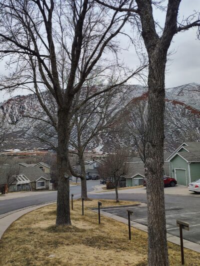 Basalt River Park - Basalt, CO