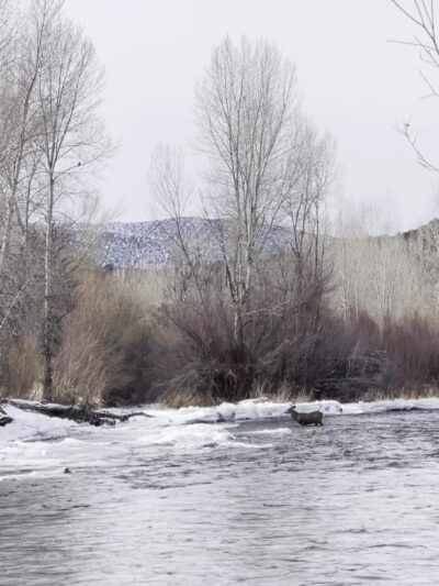 Basalt River Park - Basalt, CO