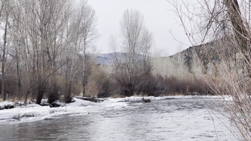 Basalt River Park - Basalt, CO
