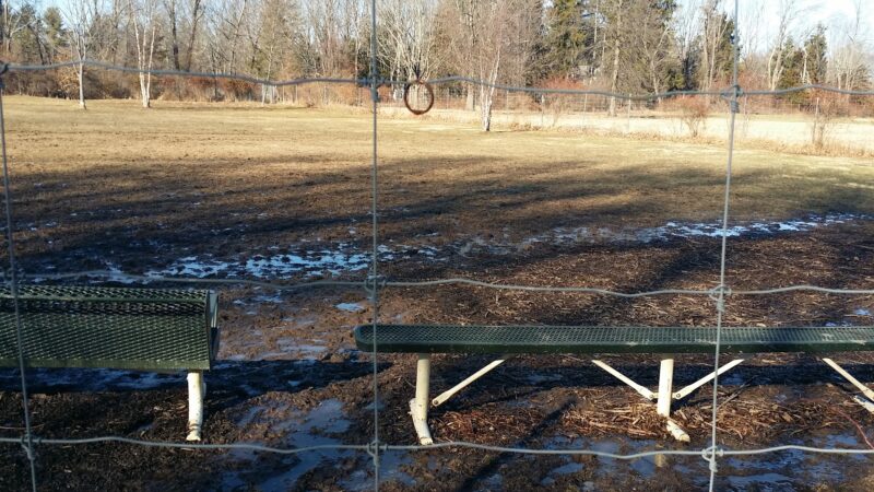 Bernards Twp Dog Run Park - Basking Ridge, NJ