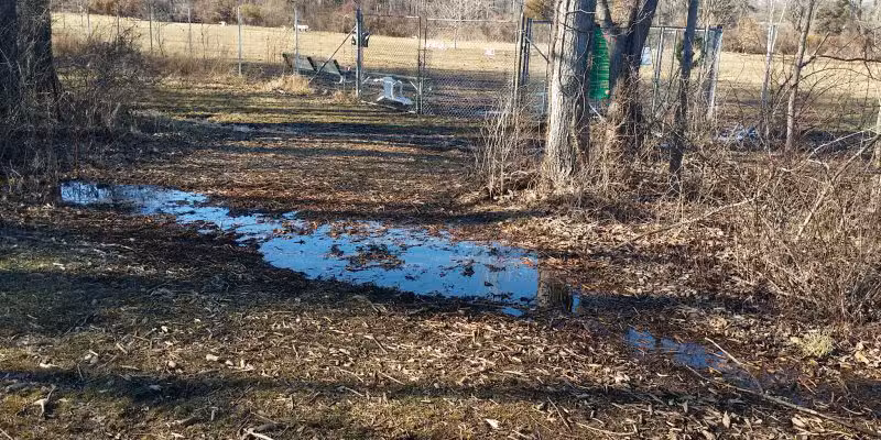 Bernards Twp Dog Run Park - Basking Ridge, NJ
