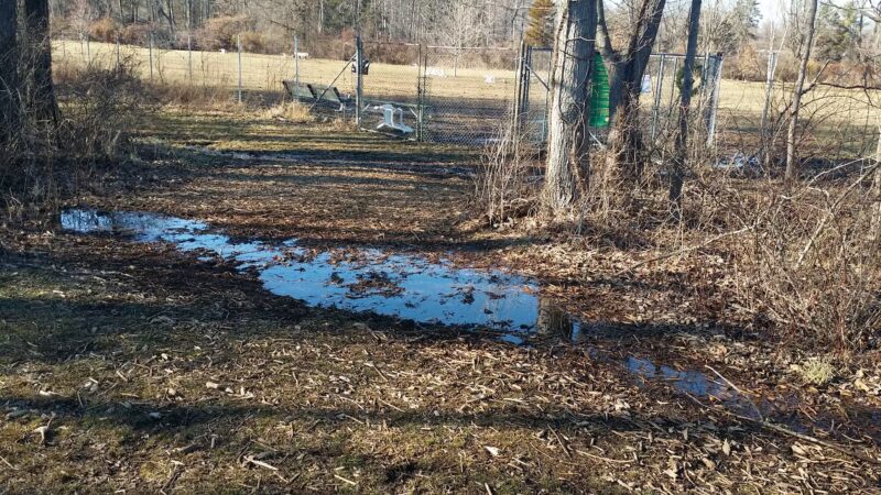 Bernards Twp Dog Run Park - Basking Ridge, NJ