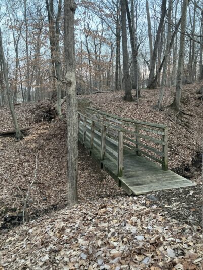 Gene King Park - Basking Ridge, NJ