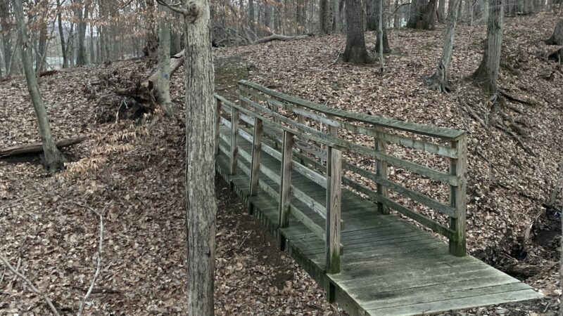 Gene King Park - Basking Ridge, NJ