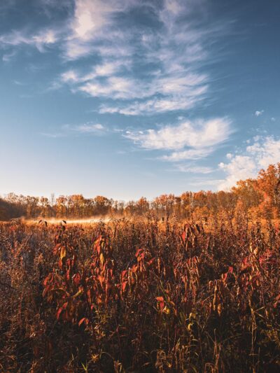 Great Swamp National Wildlife Refuge - Basking Ridge, NJ