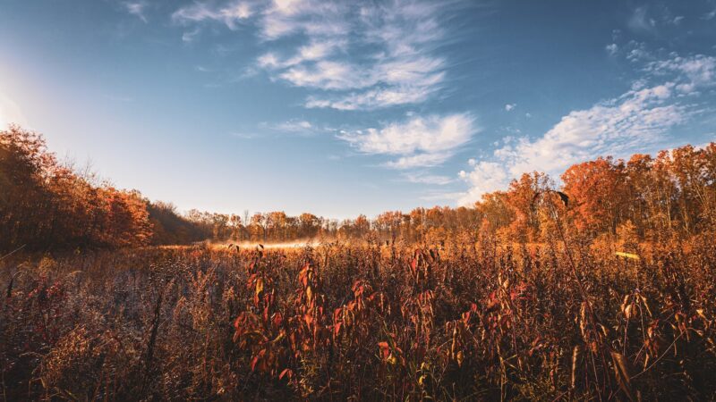 Great Swamp National Wildlife Refuge - Basking Ridge, NJ