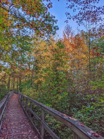 Great Swamp National Wildlife Refuge - Basking Ridge, NJ