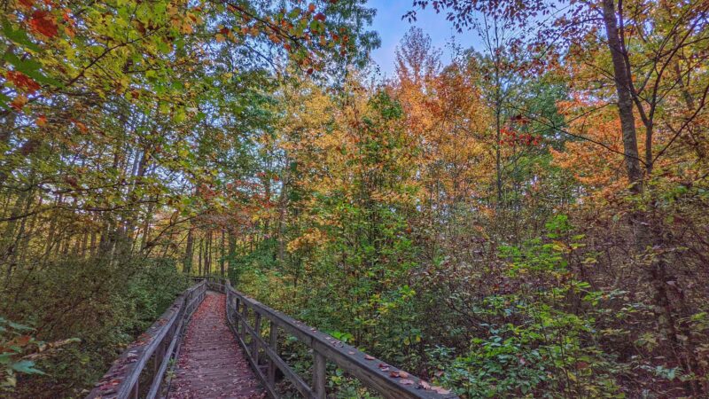 Great Swamp National Wildlife Refuge - Basking Ridge, NJ