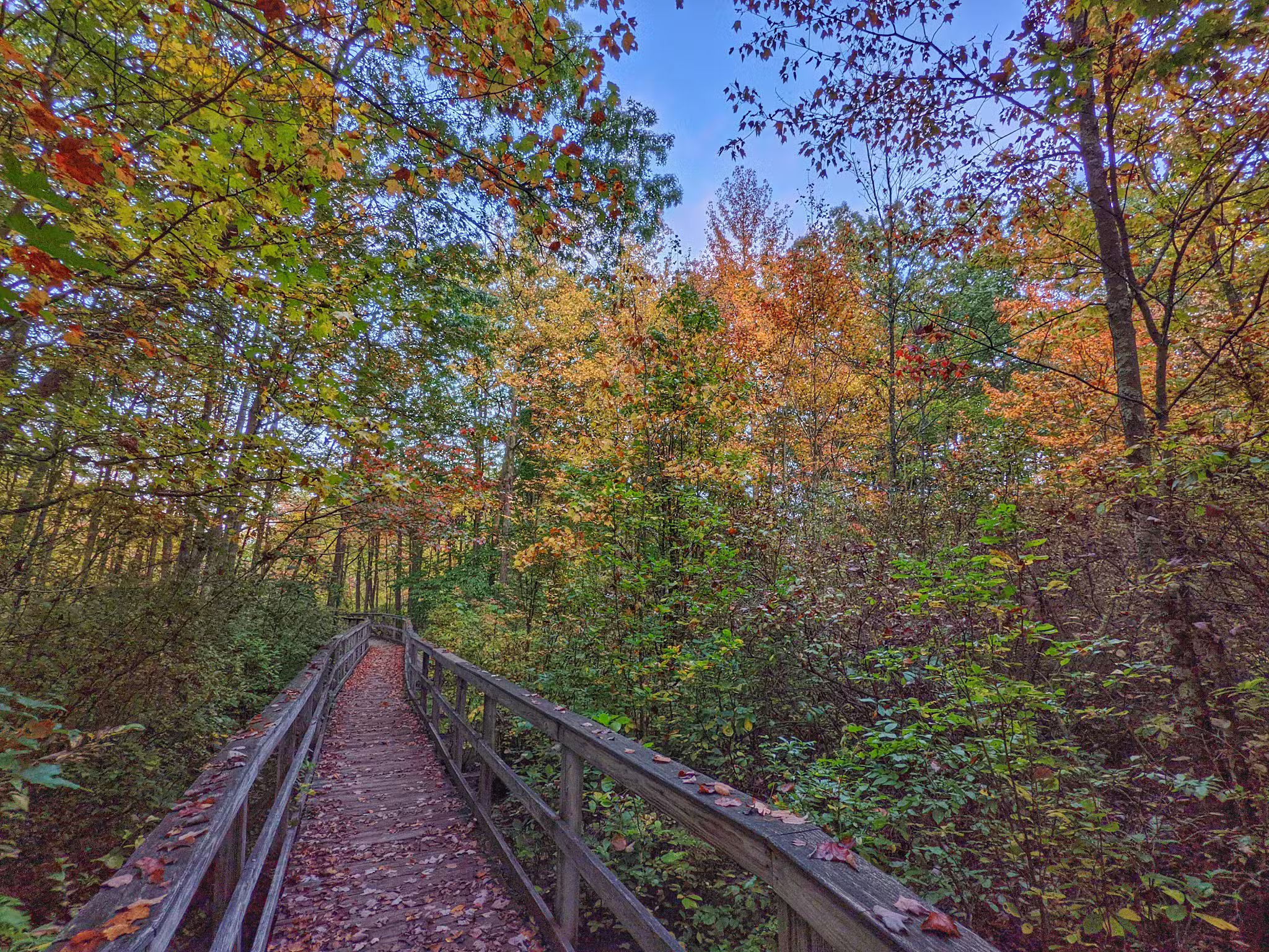 Great Swamp National Wildlife Refuge - Basking Ridge, NJ