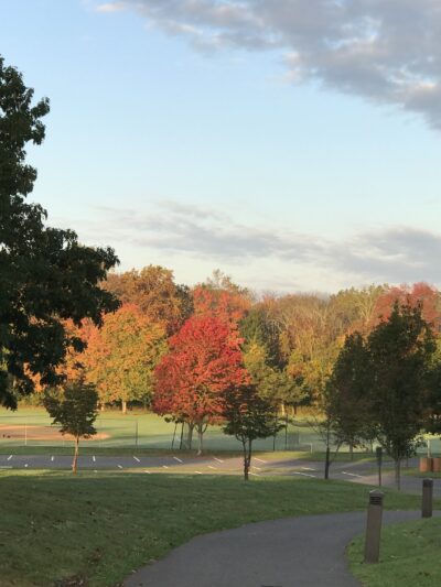 Harry Dunham Park - Basking Ridge, NJ