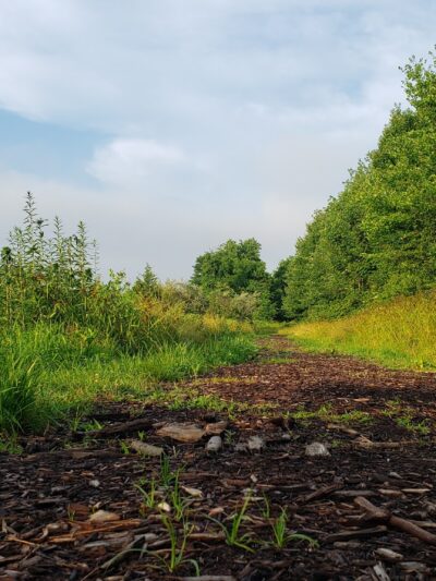 Mountain Park - Basking Ridge, NJ