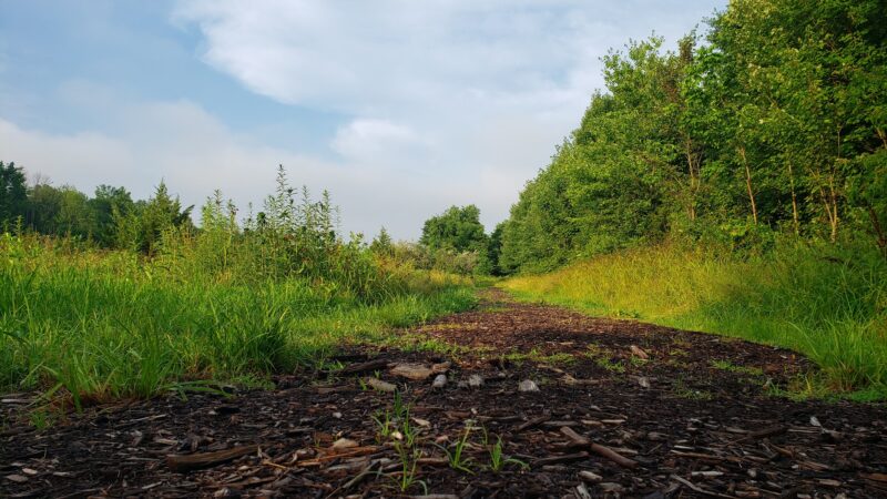 Mountain Park - Basking Ridge, NJ