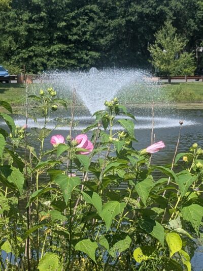 Southard Park - Basking Ridge, NJ