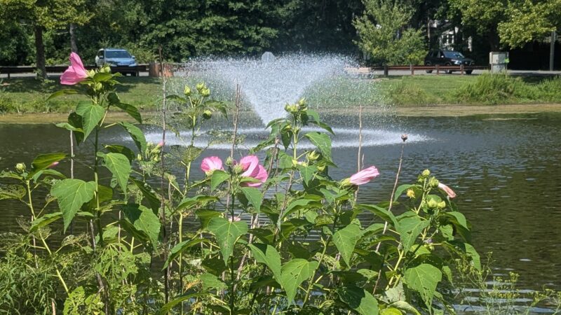 Southard Park - Basking Ridge, NJ