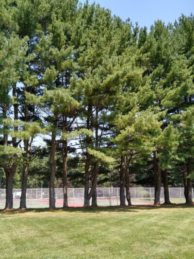 Rebel Hill Playground - Basking Ridge, NJ