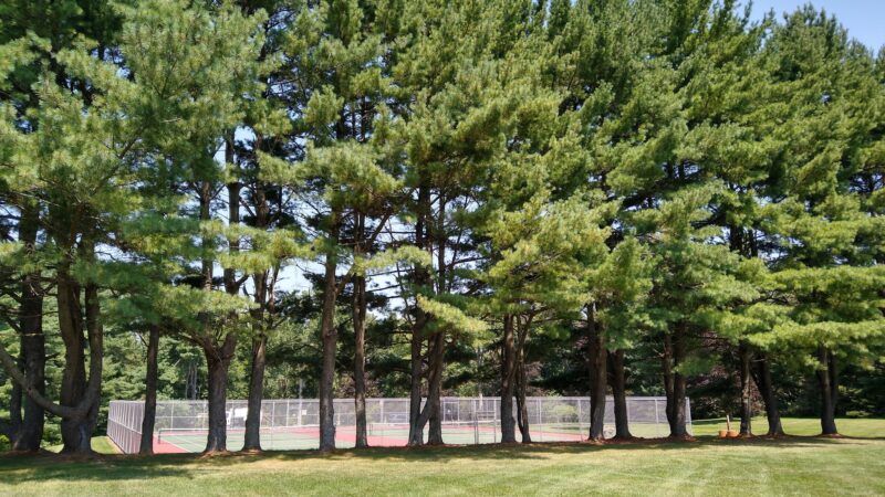 Rebel Hill Playground - Basking Ridge, NJ