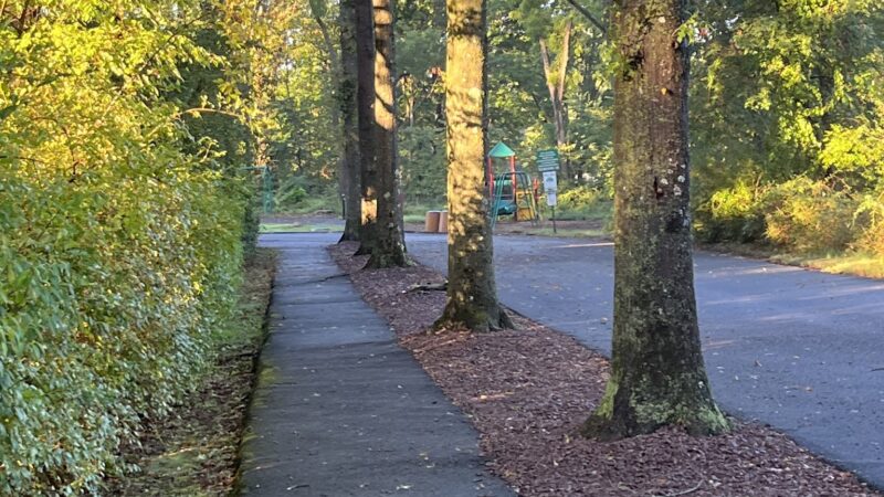 Rebel Hill Playground - Basking Ridge, NJ