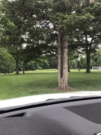 Tobin Heath Field - Basking Ridge, NJ