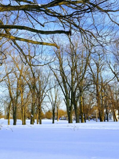 Centennial Park - Batavia, NY
