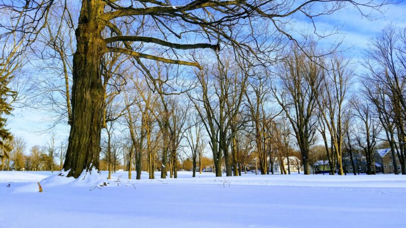 Centennial Park - Batavia, NY