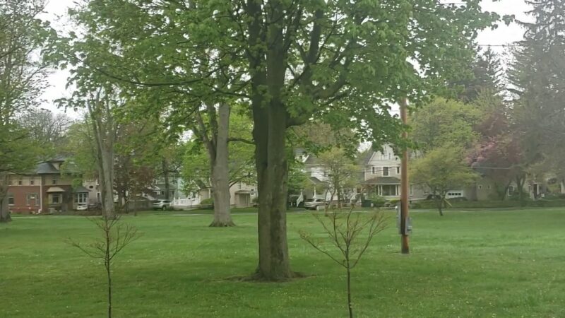 Centennial Park - Batavia, NY