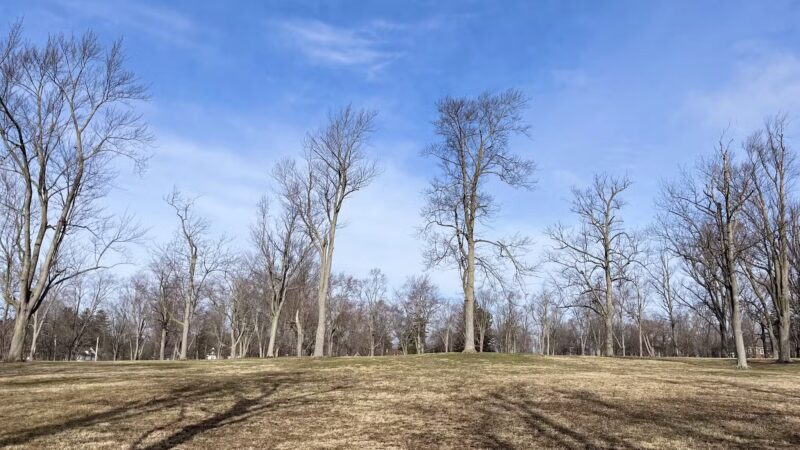 Centennial Park - Batavia, NY