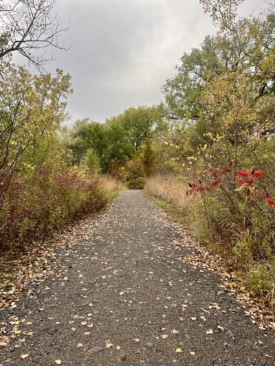 DeWitt Recreation Area - Batavia, NY