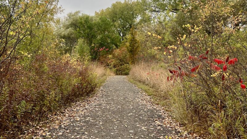 DeWitt Recreation Area - Batavia, NY
