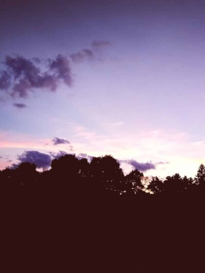 Lions Park - Batavia, NY