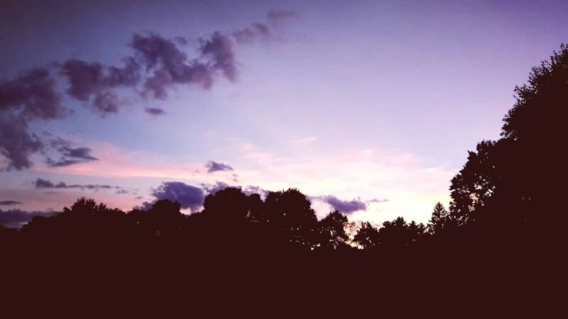 Lions Park - Batavia, NY