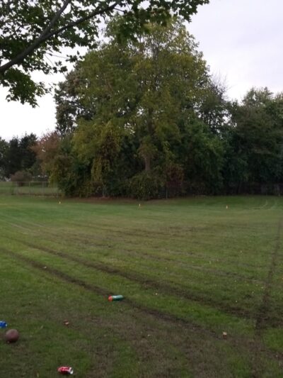 Lions Park - Batavia, NY