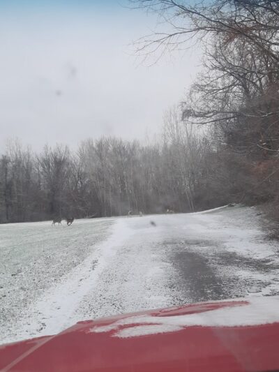 Williams Park - Batavia, NY