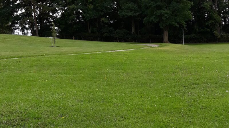 Williams Park - Batavia, NY