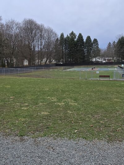 Haverling st Dog Park - Bath, NY