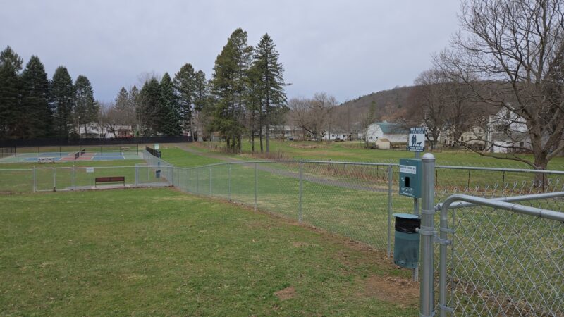Haverling st Dog Park - Bath, NY