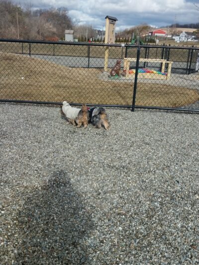 Paw Park - Bath, PA