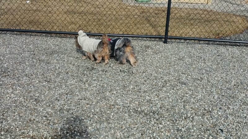 Paw Park - Bath, PA