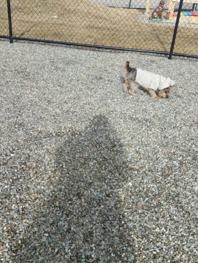 Paw Park - Bath, PA