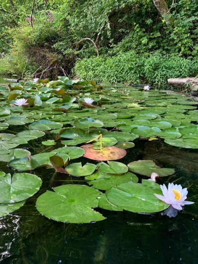 Battle Ground Lake State Park - Battle Ground, WA