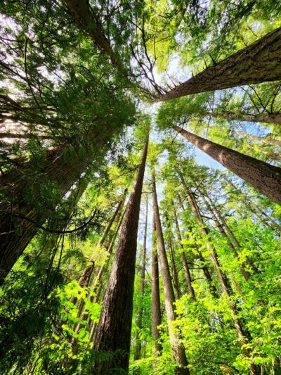 Battle Ground Lake State Park - Battle Ground, WA