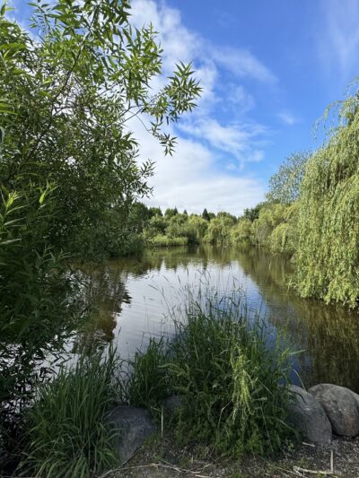 Marshall Community Park - Battle Ground, WA