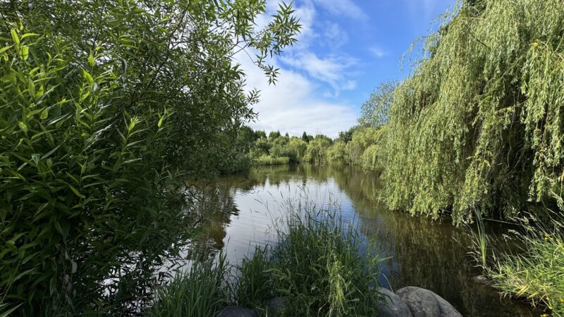 Marshall Community Park - Battle Ground, WA